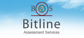 Bitline Assessment Services copy